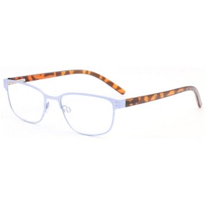 Metal Reading Glasses